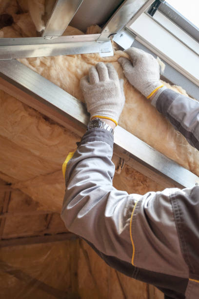 Best Insulation Removal Services  in Hertford, NC