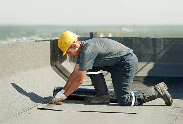 Best Insulation Repair Services  in Hertford, NC