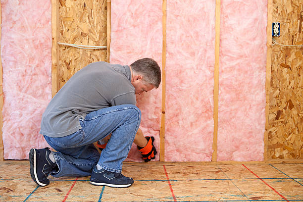 Best Insulation Removal  in Hertford, NC