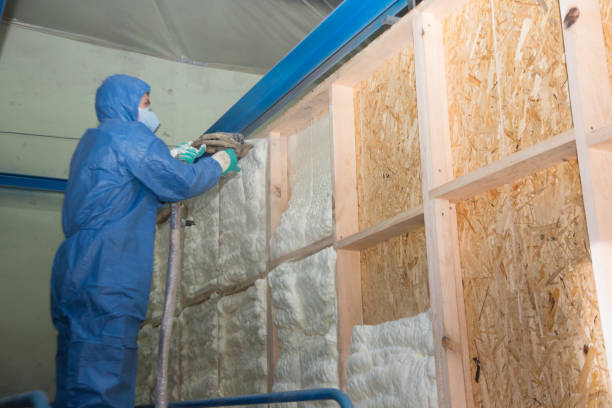 Best Attic Insulation Installation  in Hertford, NC