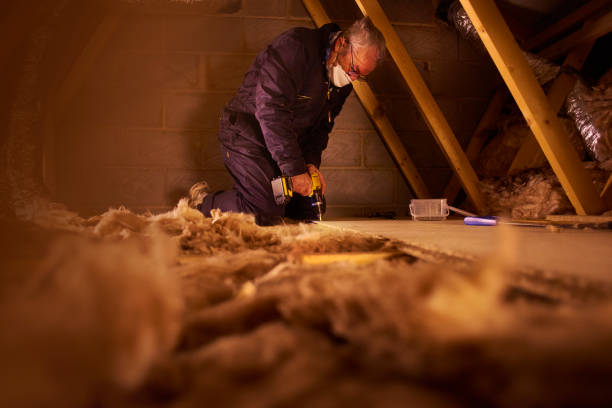 Best Residential Insulation Services  in Hertford, NC