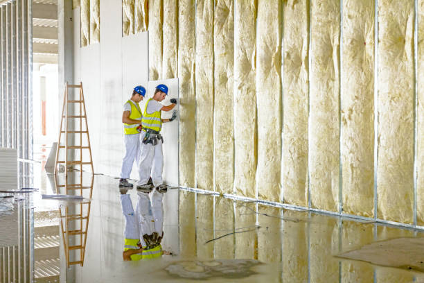 Best Insulation Inspection Services  in Hertford, NC